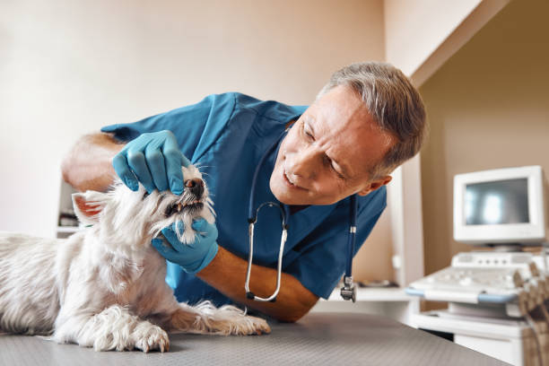 Best Broken Tooth Emergency  in Marrero, LA